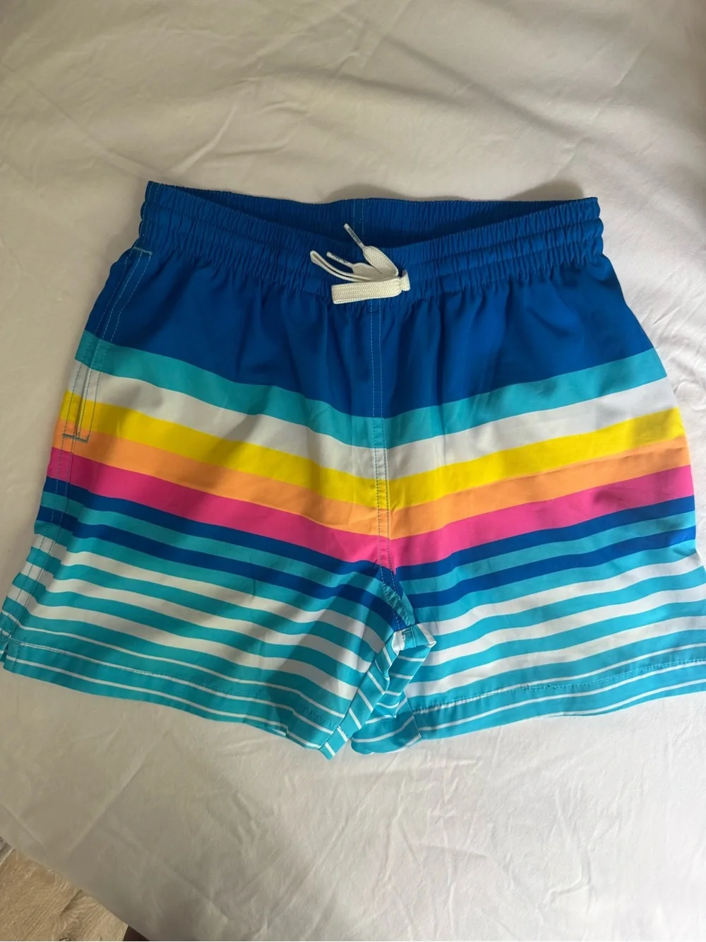 Men’s Chubbies Striped Swim Shorts.